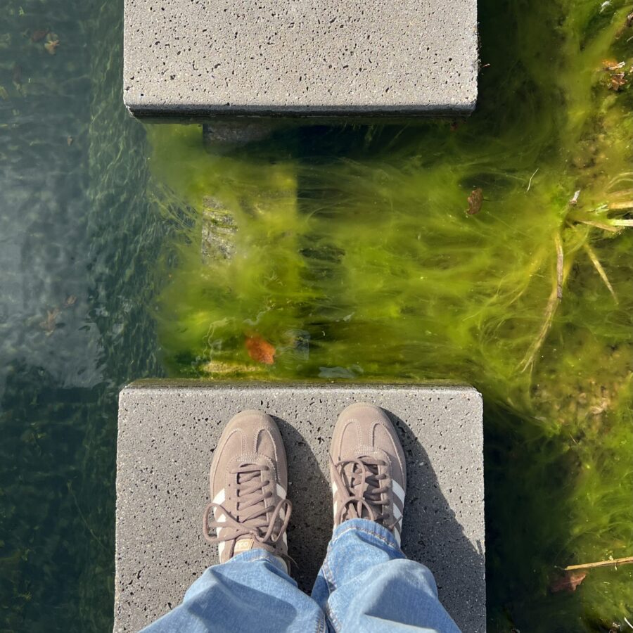 Voeten op steppingstones
