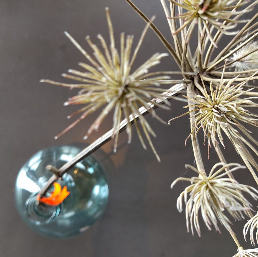 droogbloemen druppel