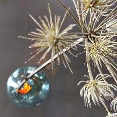 droogbloemen druppel